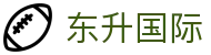 东升国际 - 东升国际官网 - 安全网址导航